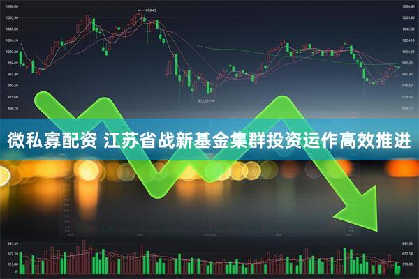 微私寡配资 江苏省战新基金集群投资运作高效推进