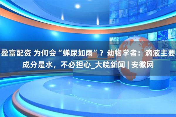 盈富配资 为何会“蝉尿如雨”？动物学者：滴液主要成分是水，不必担心_大皖新闻 | 安徽网