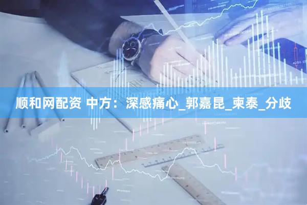 顺和网配资 中方：深感痛心_郭嘉昆_柬泰_分歧