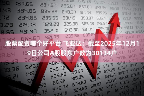 股票配资哪个好平台 飞亚达：截至2025年12月19日公司A股股东户数为30134户